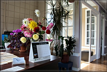 Kamloops Acupuncture Clinic lobby
